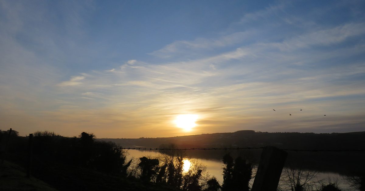 mindfullness-learning-to-pause-inspire