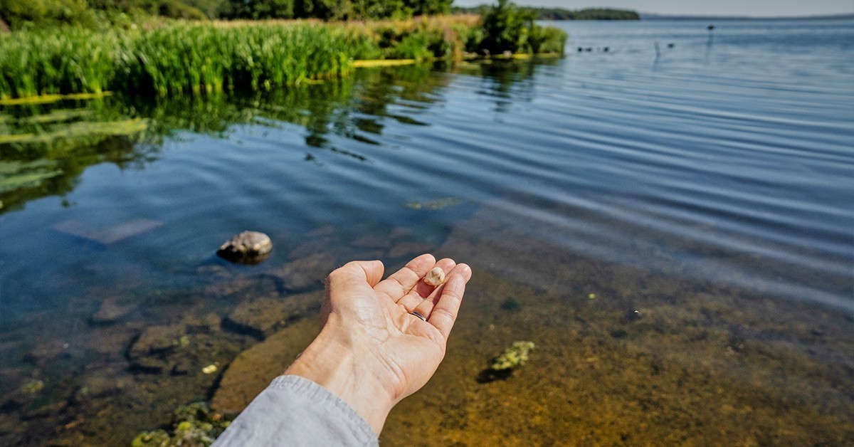 mindfulness-getting-started-inspire-wellbeing