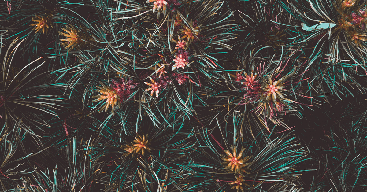 rhodiola-rosea-a-phytomedicinal-overview-richard-p-brown-m-d-patricia-l-gerbarg-m-d-and-zakir-ramazanov-ph-d-d-s
